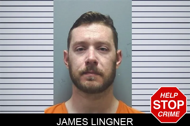 James Lingner mugshot