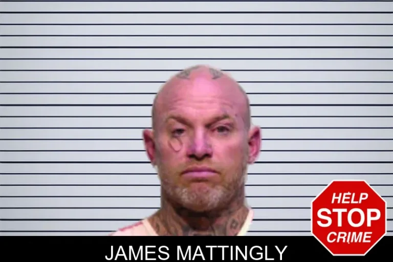 James Mattingly mugshot – Bartow County , Georgia James Mattingly