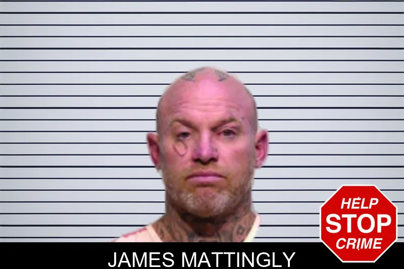 James Mattingly mugshot
