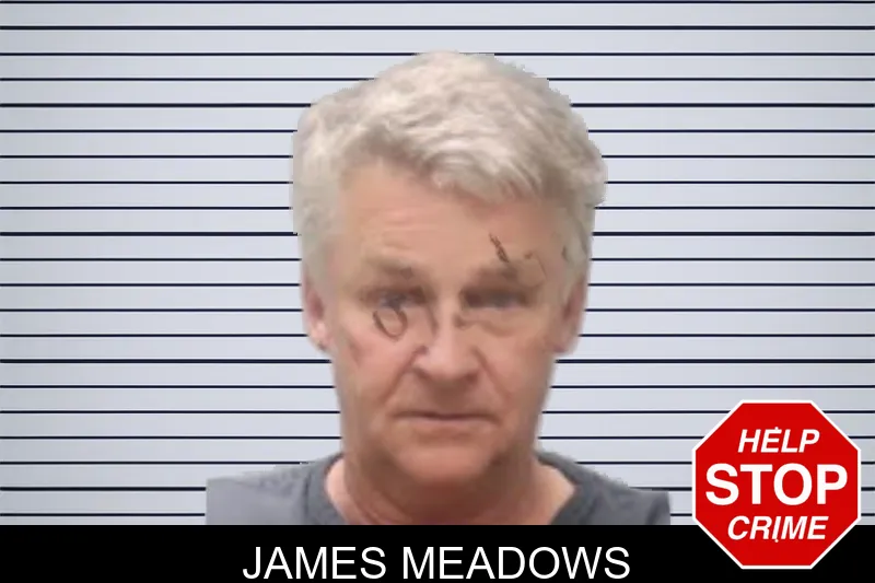 James Meadows mugshot