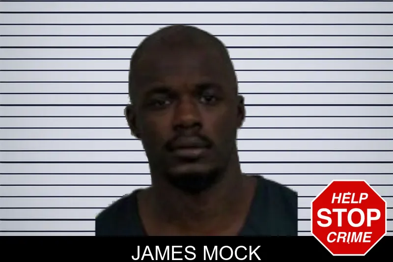 James Mock mugshot – Jeff Davis County , Georgia James Mock mugshot
