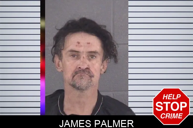 James Palmer mugshot – Spalding County , Georgia James Palmer mugshot