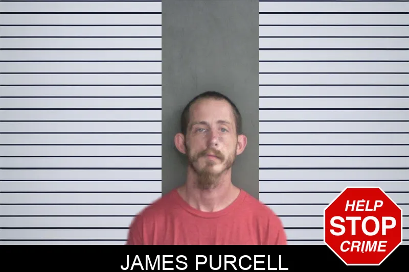 James Purcell mugshot – Twiggs County , Georgia James Purcell mugshot
