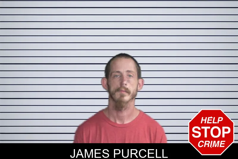 James Purcell mugshot – Twiggs County , Georgia James Purcell mugshot