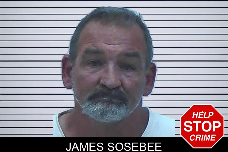 James Sosebee mugshot