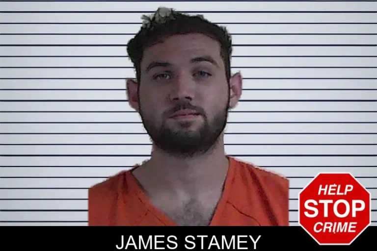 James Stamey mugshot – Fannin County , Georgia James Stamey