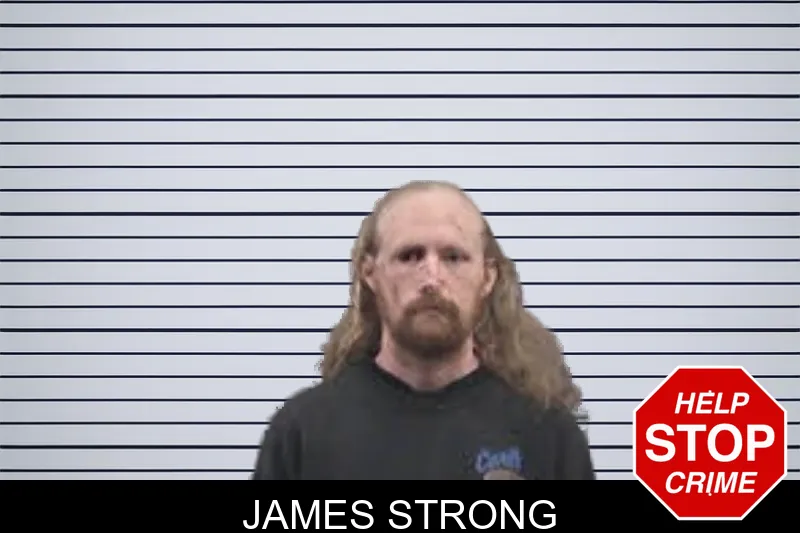 James Strong mugshot