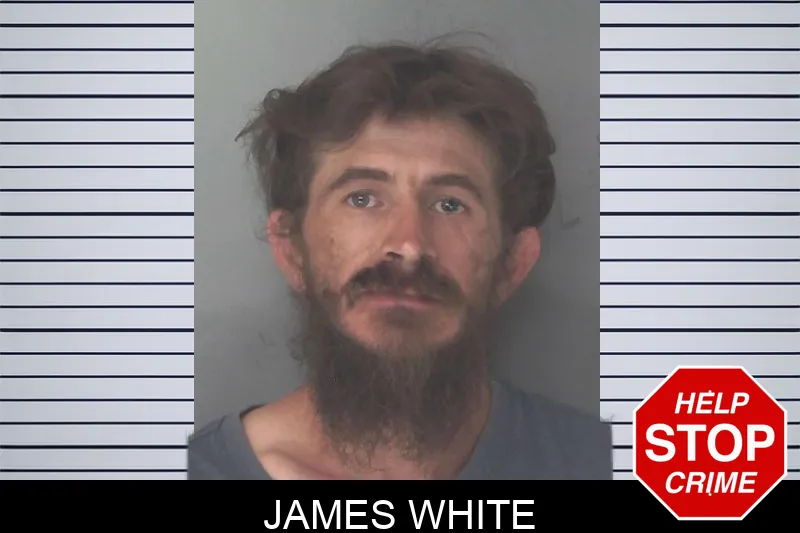 James White mugshot – Douglas County , Georgia James White mugshot