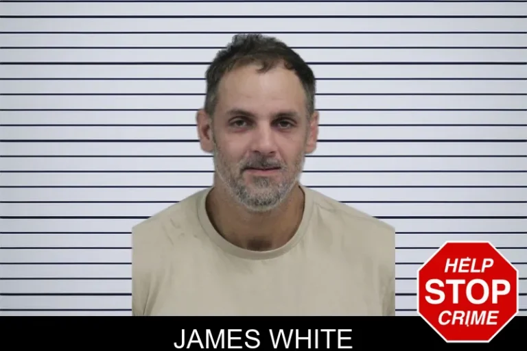 James White