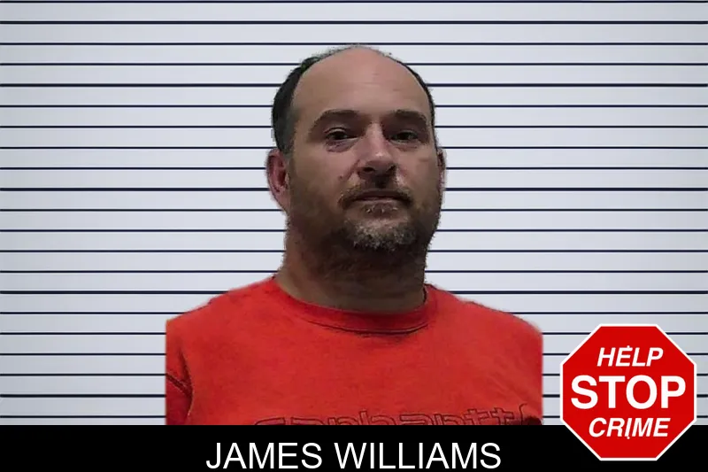 James Williams mugshot – Pierce County , Georgia James Williams mugshot
