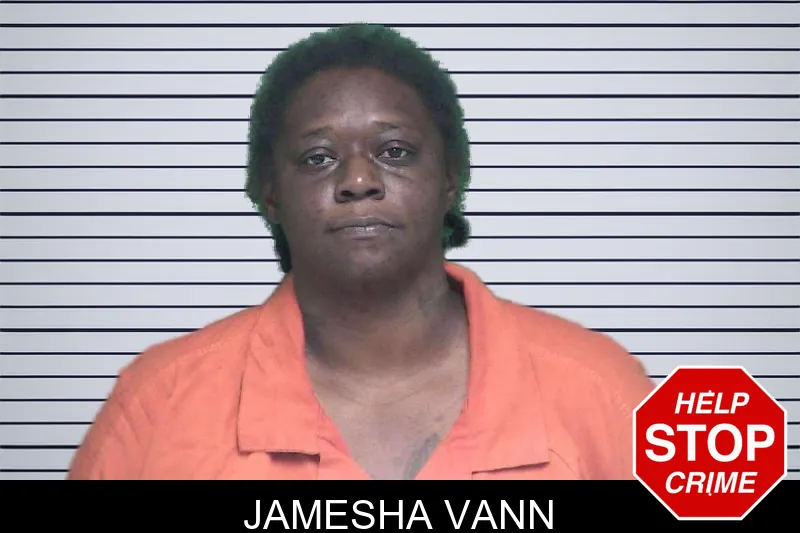 Jamesha Vann mugshot – Appling County , Georgia Jamesha Vann mugshot