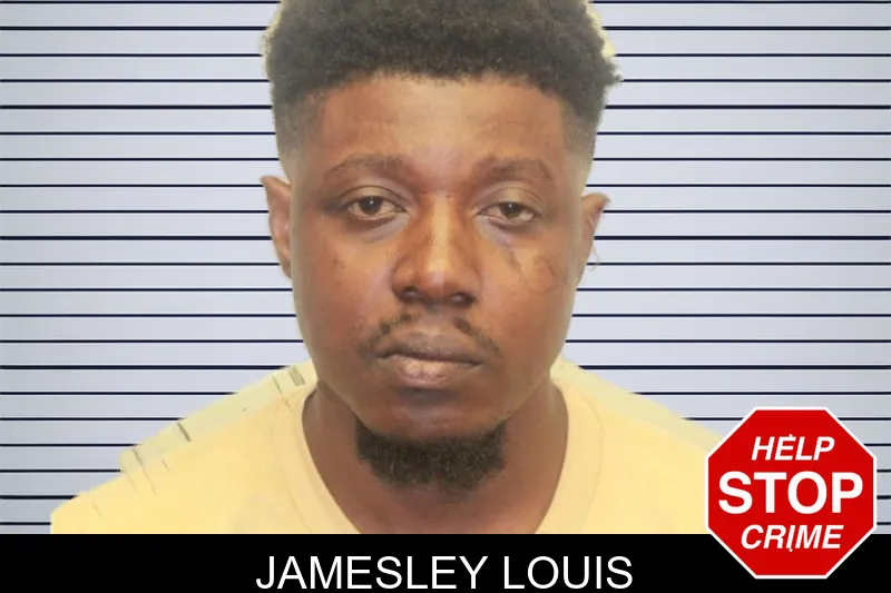 Jamesley Louis mugshot