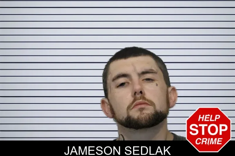 Jameson Sedlak mugshot – Bibb County , Georgia Jameson Sedlak