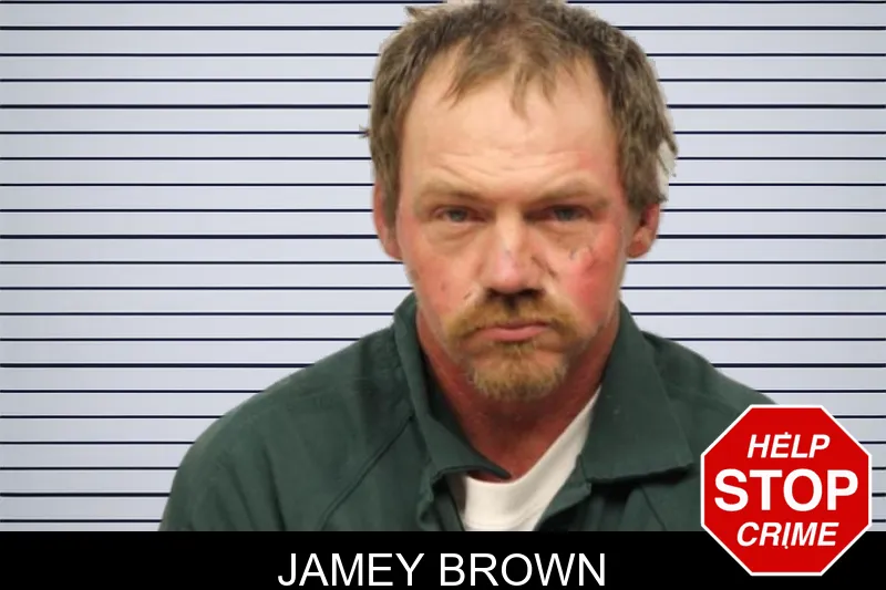 Jamey Brown mugshot – Chatham County , Georgia Jamey Brown mugshot