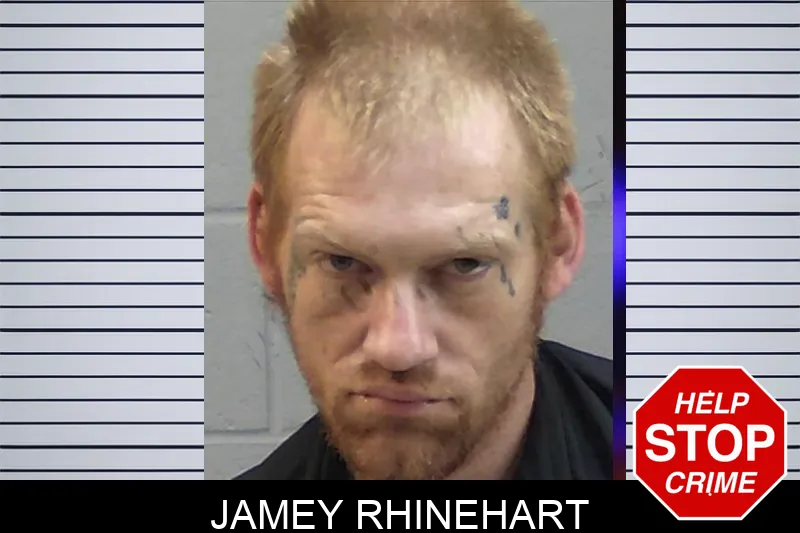 Jamey Rhinehart mugshot – Madison County , Georgia Jamey Rhinehart mugshot