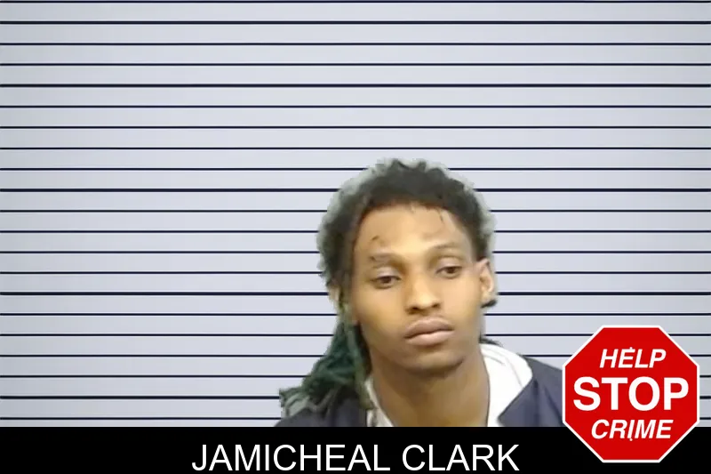 Jamicheal Clark mugshot