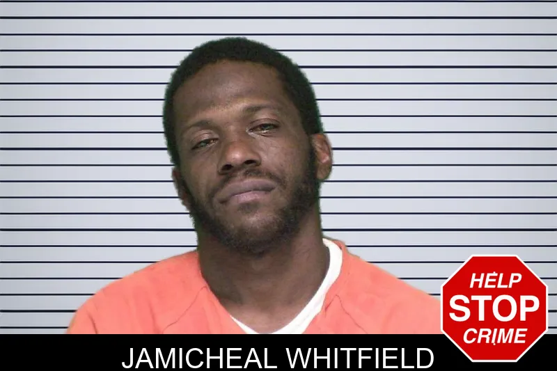 Jamicheal Whitfield mugshot – Appling County , Georgia Jamicheal Whitfield mugshot