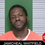 Jamicheal Whitfield mugshot