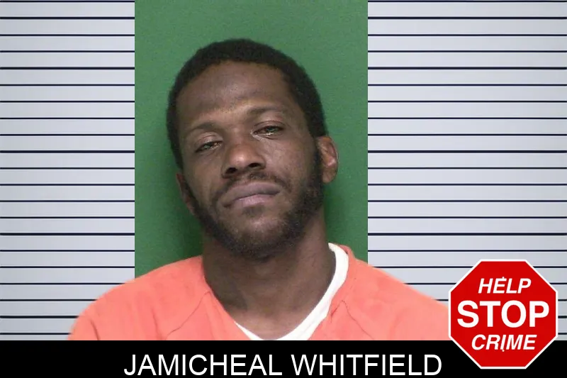 Jamicheal Whitfield mugshot – Appling County , Georgia Jamicheal Whitfield mugshot