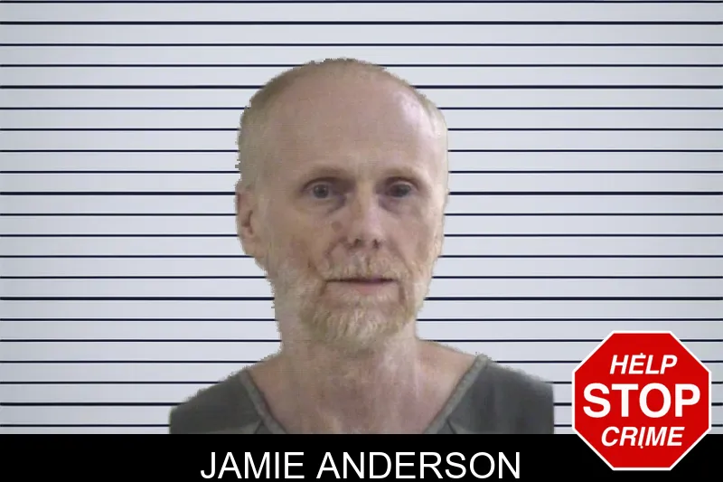 Jamie Anderson mugshot – Whitfield County , Georgia Jamie Anderson mugshot