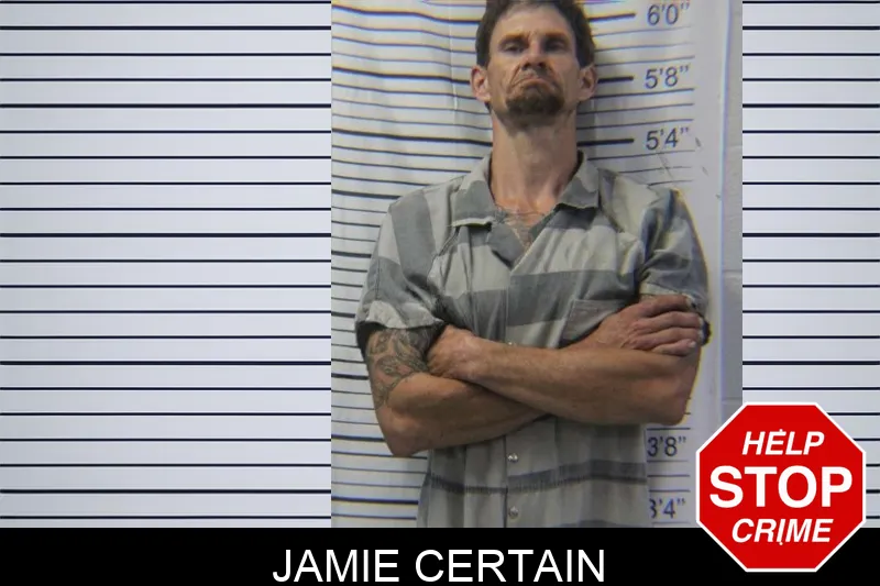 Jamie Certain mugshot – Stephens County , Georgia Jamie Certain mugshot