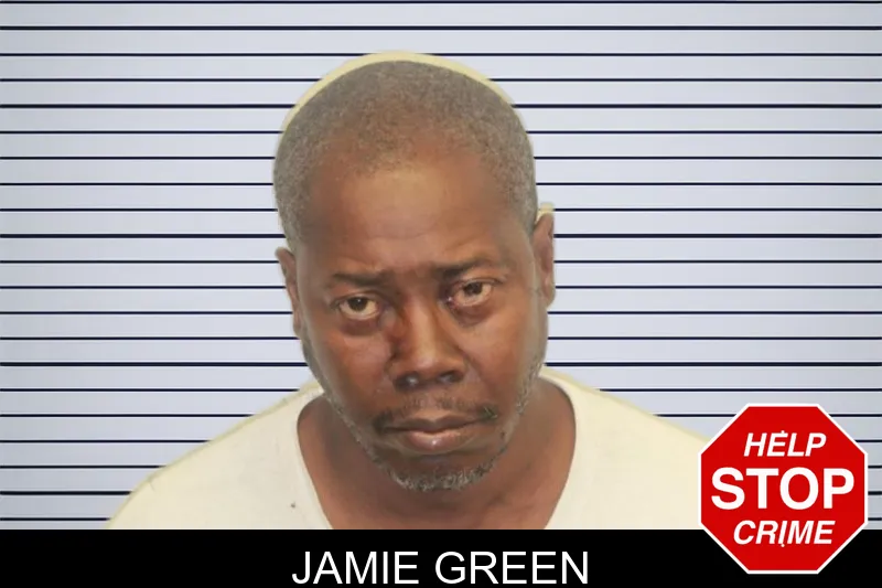 Jamie Green mugshot – Chatham County , Georgia Jamie Green mugshot