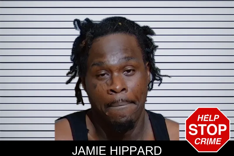Jamie Hippard mugshot