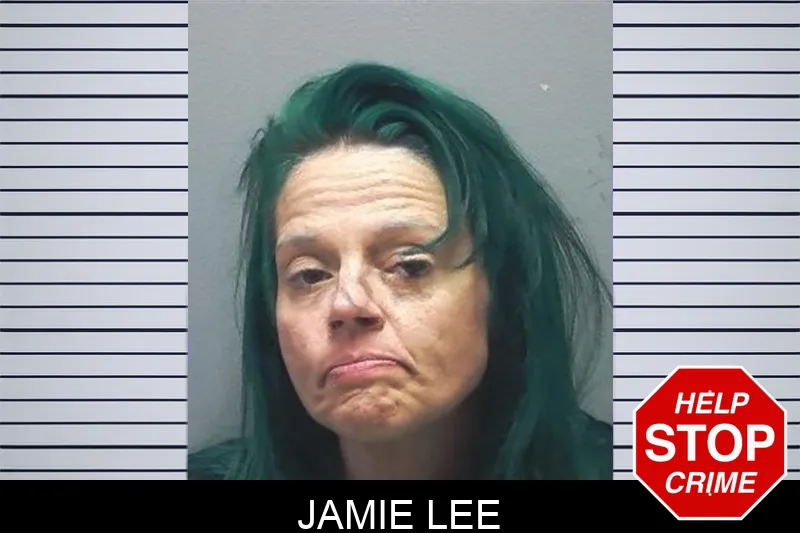 Jamie Lee mugshot – Cherokee County , Georgia Jamie Lee mugshot