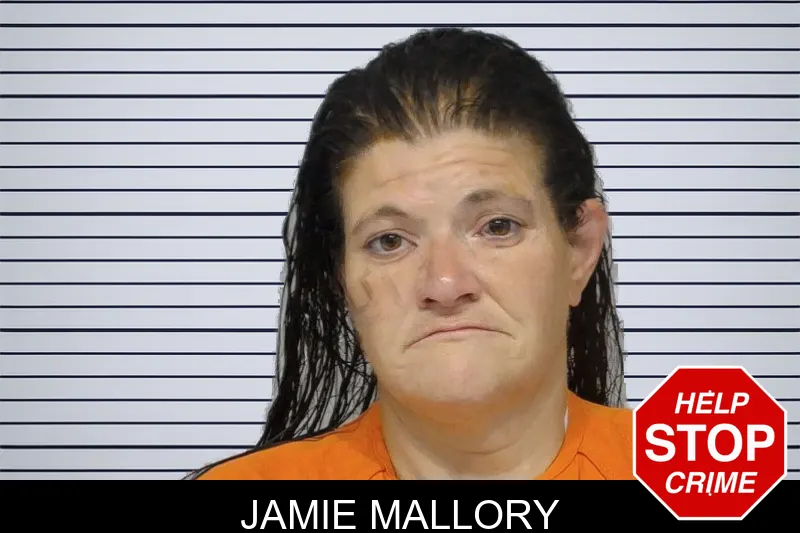 Jamie Mallory mugshot – Bibb County , Georgia Jamie Mallory mugshot