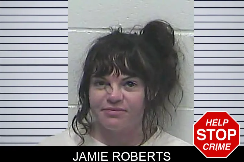 Jamie Roberts mugshot