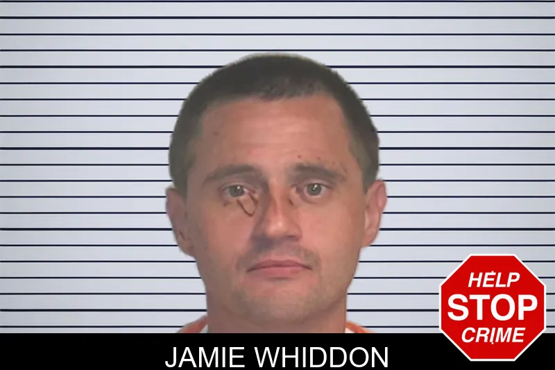 Jamie Whiddon mugshot