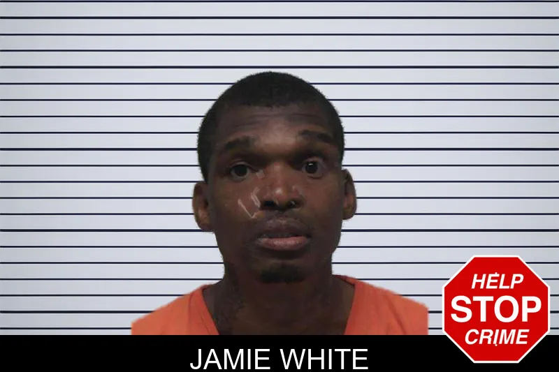 Jamie White mugshot