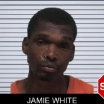 Jamie White mugshot – Laurens County , Georgia Jamie White mugshot