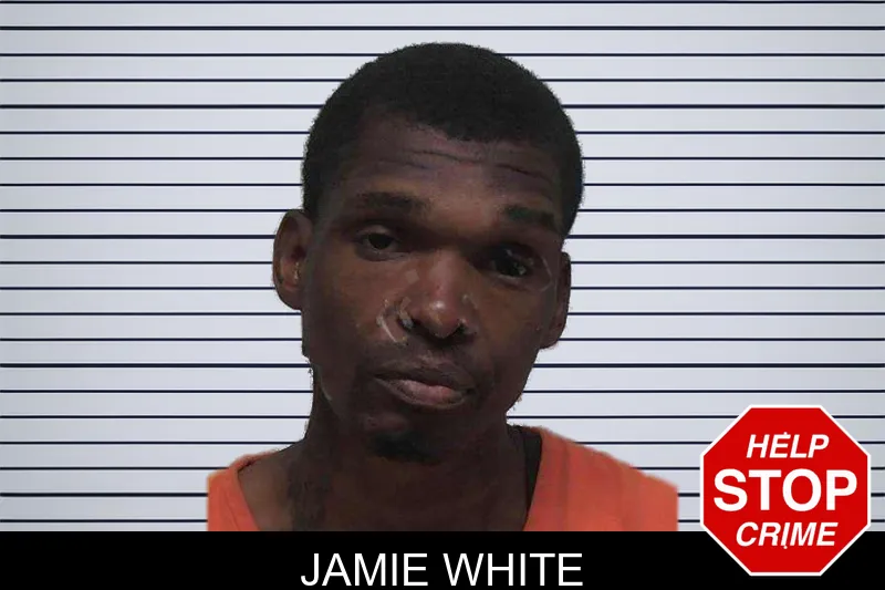 Jamie White mugshot