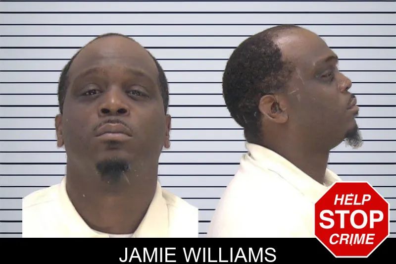 Jamie Williams mugshot