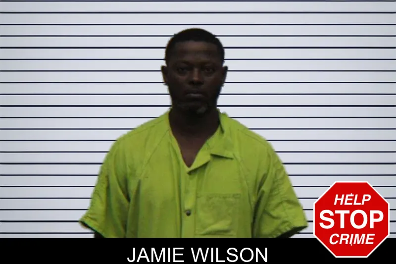 Jamie Wilson mugshot