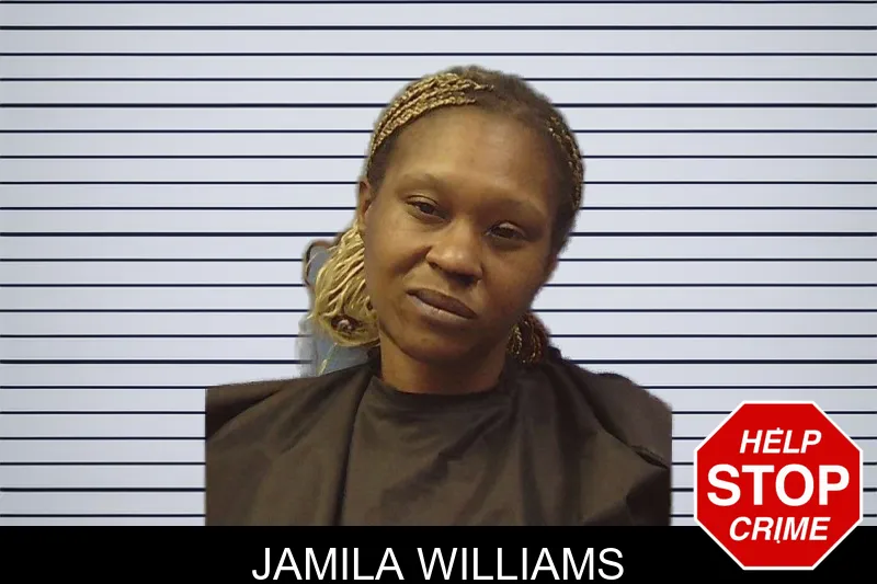 Jamila Williams mugshot