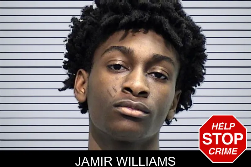 Jamir Williams mugshot