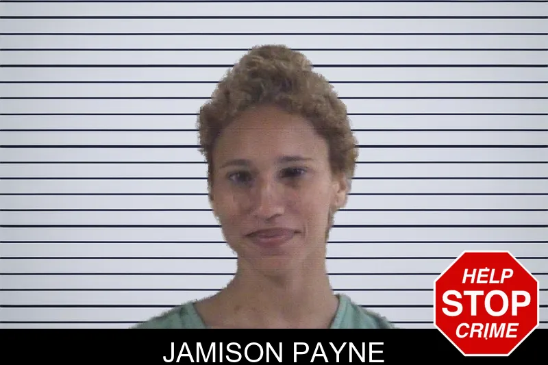 Jamison Payne mugshot – Whitfield County , Georgia Jamison Payne mugshot