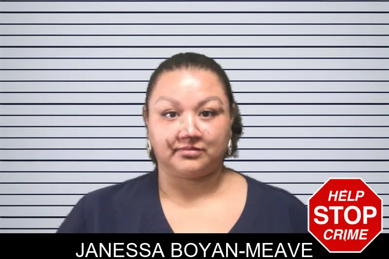 Janessa Boyan-Meave mugshot