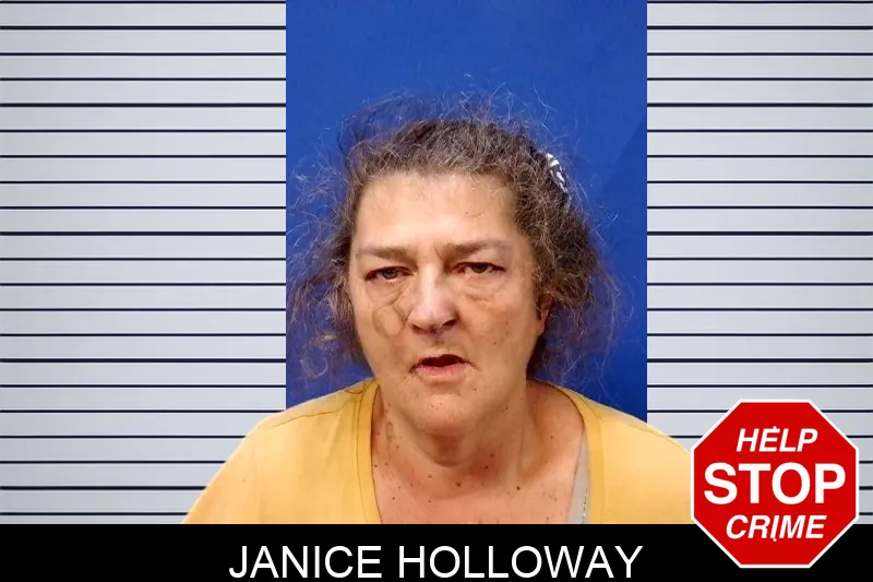 Janice Holloway mugshot