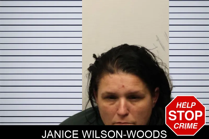 Janice Wilson-Woods mugshot – Chatham County , Georgia Janice Wilson-Woods mugshot