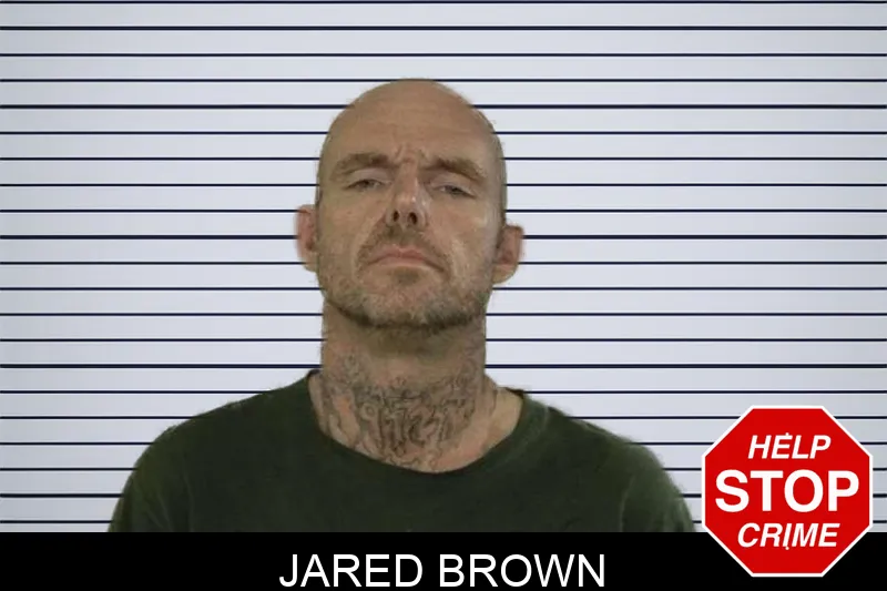 Jared Brown mugshot
