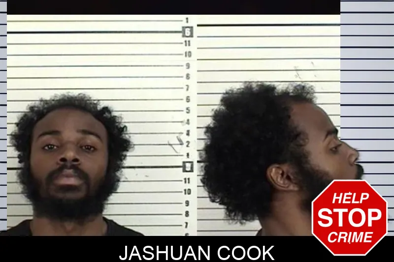 Jashuan Cook mugshot – Camden County , Georgia Jashuan Cook mugshot