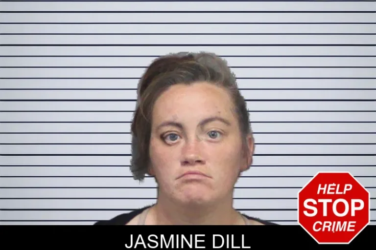 Jasmine Dill mugshot – White County , Georgia Jasmine Dill