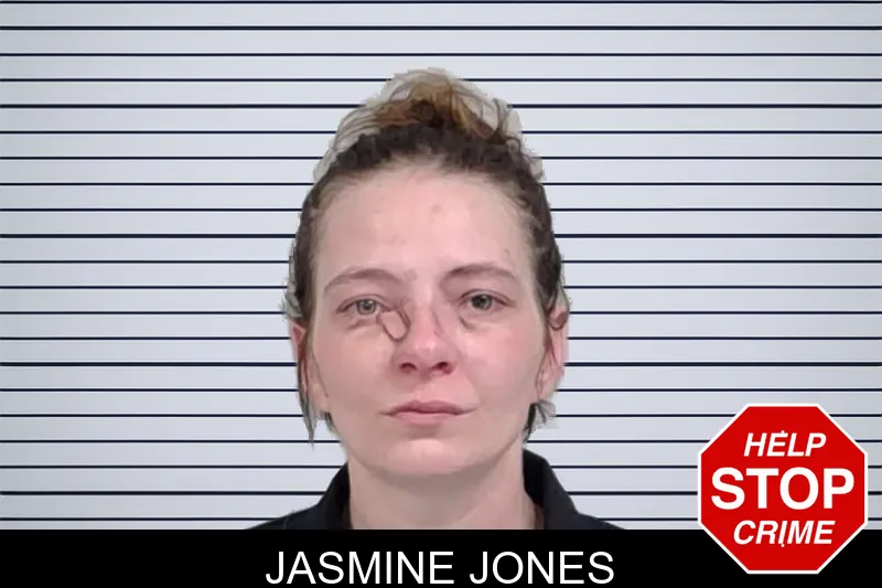 Jasmine Jones mugshot – Lowndes County , Georgia Jasmine Jones mugshot