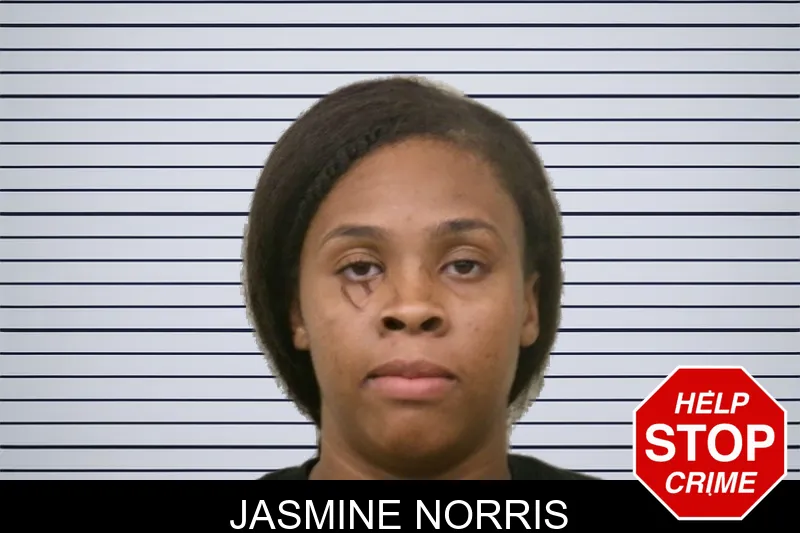 Jasmine Norris mugshot