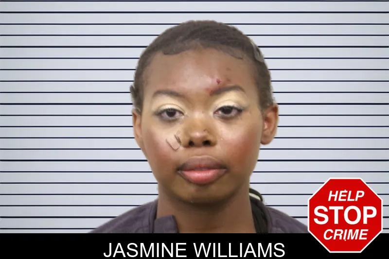 Jasmine Williams mugshot – Bulloch County , Georgia Jasmine Williams mugshot