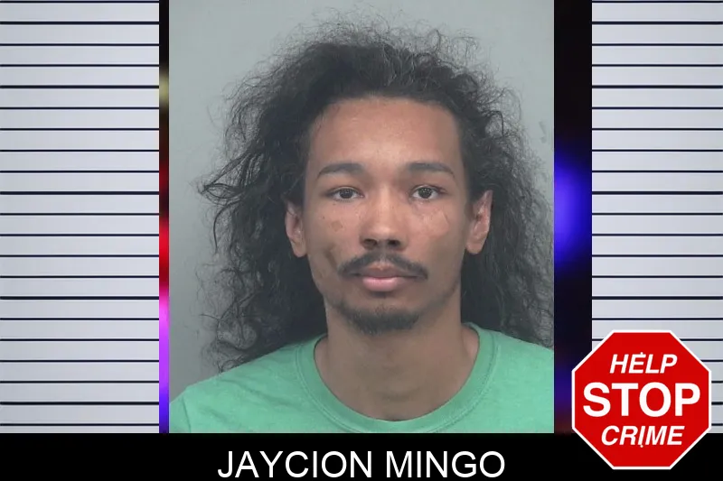 Jaycion Mingo mugshot
