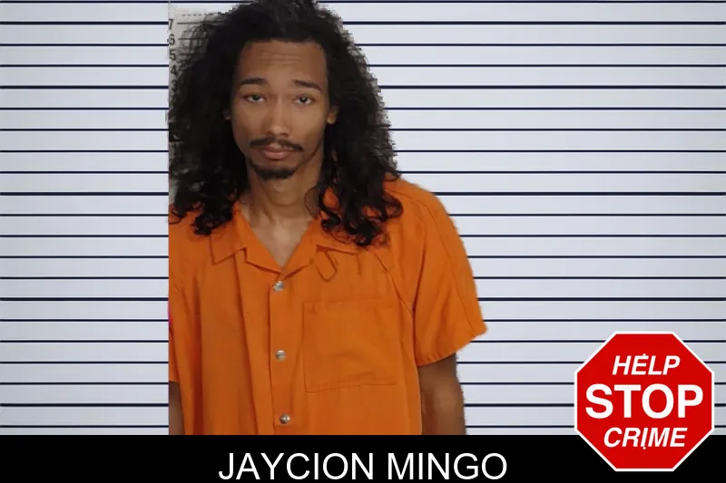 Jaycion Mingo mugshot